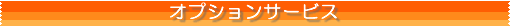 オプションサービス